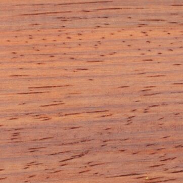 Bois 7 : Grenadille (ebene)